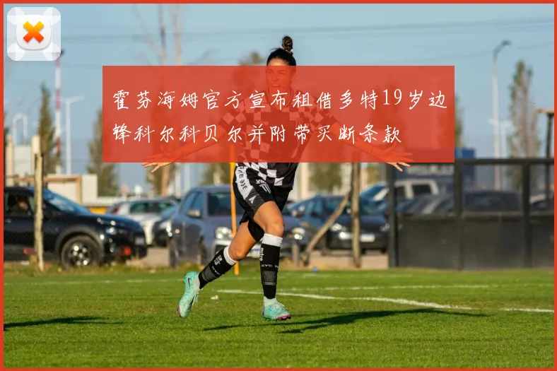 霍芬海姆官方宣布租借多特19岁边锋科尔科贝尔并附带买断条款