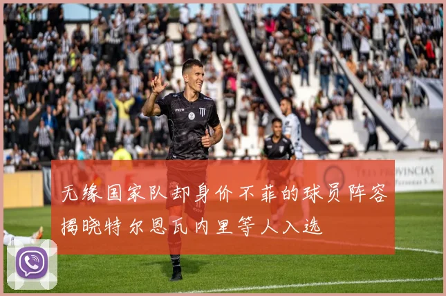 无缘国家队却身价不菲的球员阵容揭晓特尔恩瓦内里等人入选