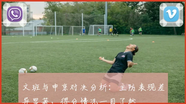 文班与申京对决分析：主防表现差异显著，得分情况一目了然