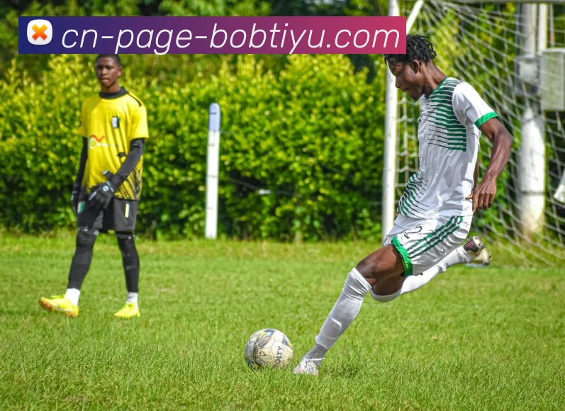 App Interface Preview