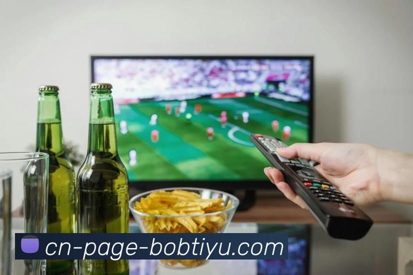 BOB体育APP 封面图